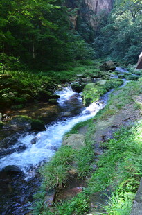 山间溪流 绿意盎然的景致