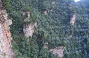 壮丽险峻的山林景观