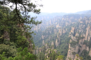 壮丽张家界奇峰景观