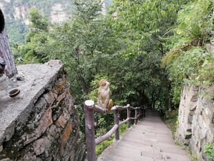 山间石径漫步景