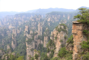 张家界奇峰壮丽景观