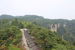 山间栈道伴葱郁山林