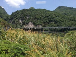 山间绿野中的桥梁风光