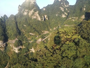 壮丽山峦间的葱郁景致