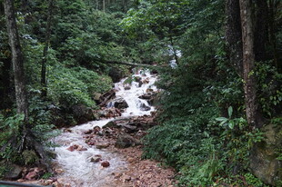 山林间的潺潺溪流