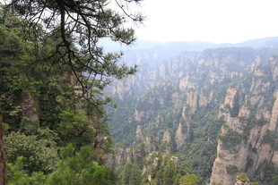 张家界奇峰景观