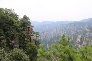 张家界奇峰美景