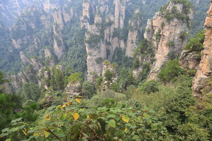 张家界奇峰异石景观