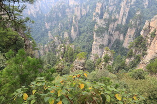 壮美山间景色 黄花点缀