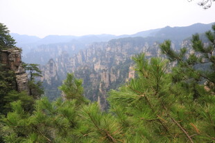 壮美张家界山林景观