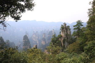 张家界奇峰异林美景