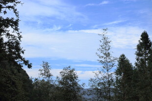 山林之上的蓝天白云