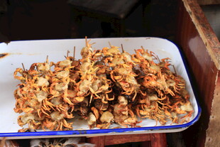 一盘油炸昆虫美食