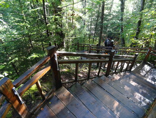 林间木质栈道漫步景致