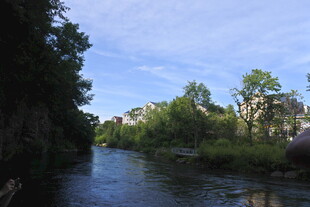 河畔绿树环绕的宁静风光