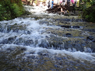 山间潺潺溪流美景