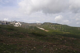 山间美景 云雾缭绕的草地