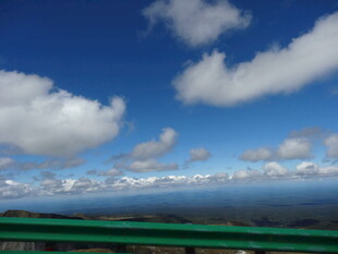 蓝天绿野间的美丽景致