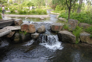 山间小溪流水风景图