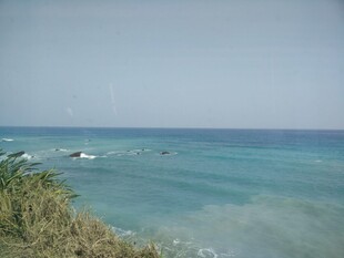 海边美景 碧蓝海水与绿植