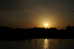 夕阳下的静谧水面景色