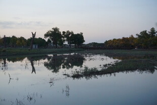 黄昏湖畔静谧风光