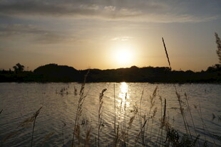 夕阳下波光粼粼的水域