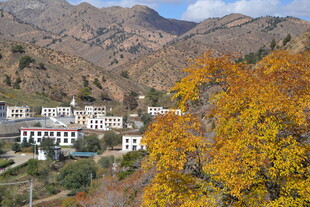 山间秋景中的村落风光