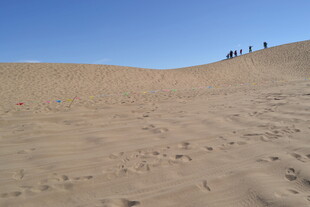 沙漠风光 几人漫步沙丘