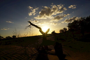 夕阳下舞者的优美剪影