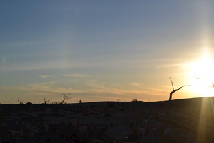 夕阳下的旷野美景
