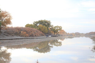 秋日河畔美景