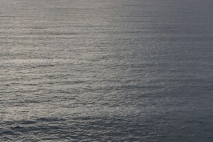 平静海面 泛着细碎波光