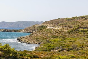 海岸边绿意盎然的美丽景致