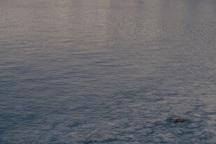 平静海面的微光景象