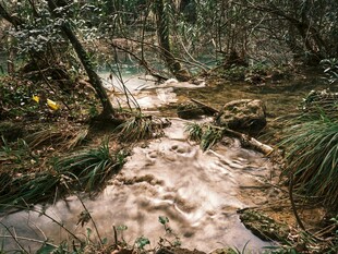 山间溪流 自然清新景致