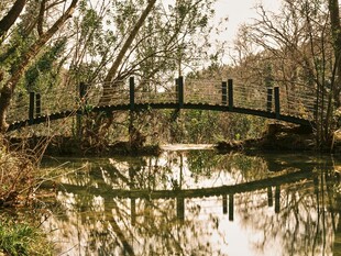 湖畔木桥倒影秋日美景