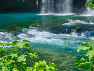 清澈瀑布旁的翠绿植物