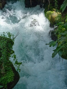 山间湍急溪流 绿意环绕