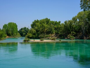 碧绿河水旁的葱郁树林