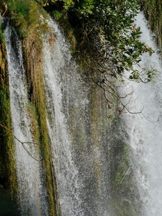 壮观瀑布与葱郁绿植