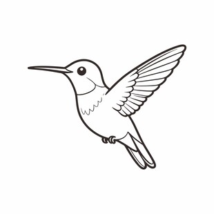 飞翔的蜂鸟简笔画