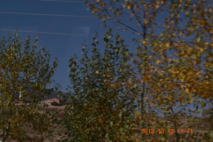 秋日树梢 蓝天背景下美景