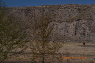 户外岩石景观与稀疏树木