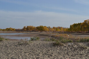 秋日荒野河畔风景