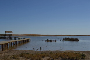 宁静湖畔的木质栈桥景观