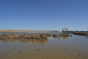 宁静水边码头风景