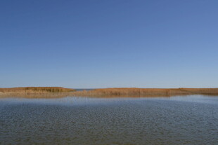 宁静水域与岸边景致