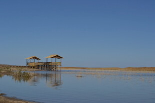 湖畔凉亭 静谧自然风光
