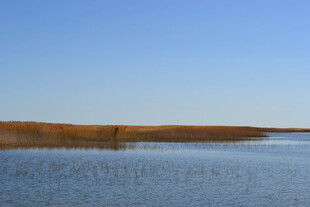 宁静湖畔的开阔自然风光